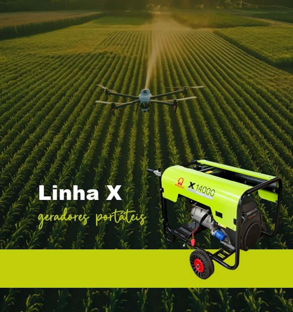 Linha X